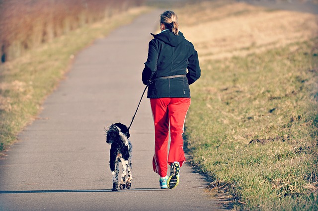 Walk Or Go Running With Your Dog