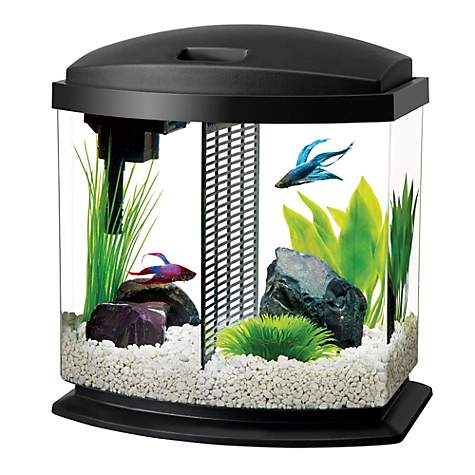 What Size Air Pump for a 2.5 Gallon Tank - Aqueon 2.5 Gallon BettaBow LED Desktop Fish Aquarium Kit, Black