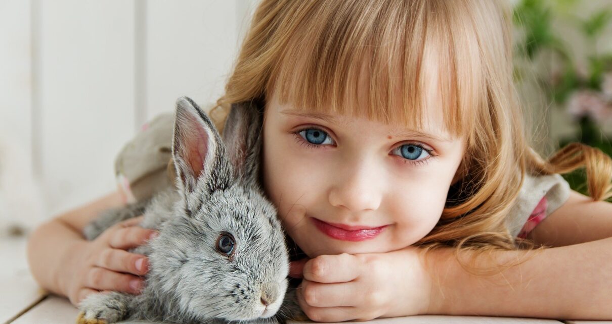 Which Breed of Rabbit is Most Child Friendly - Best Rabbit for Kids