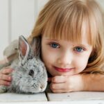 Which Breed of Rabbit is Most Child Friendly - Best Rabbit for Kids