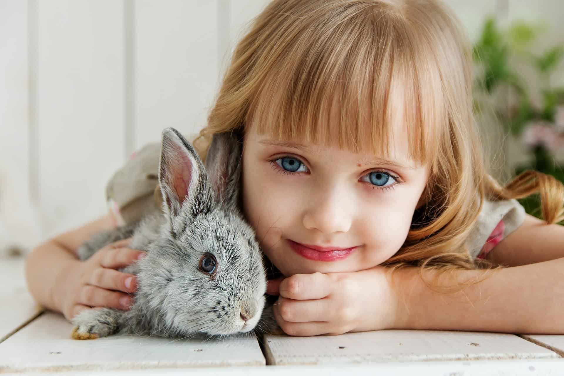 抱着兔子的女孩图片素材-编号26797682-图行天下
