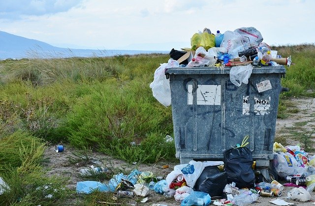 Why Do We Still Pick Up Dog Poop With Plastic Bags