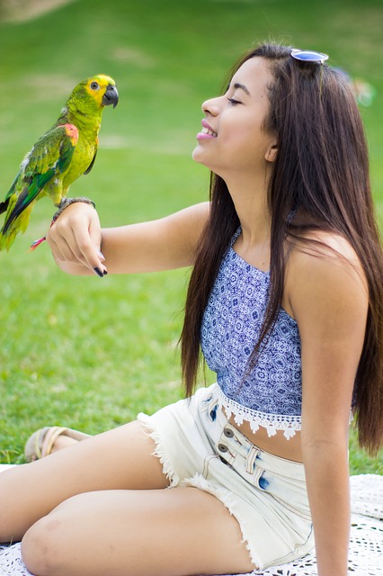 how to get a parrot to trust you