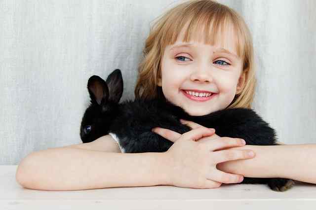 Is a rabbit a good pet for a toddler?