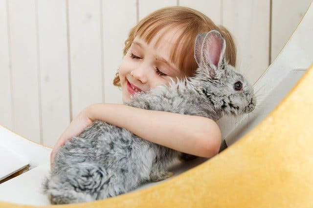Are Rabbits Good Pets for a Child