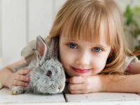 Which Breed of Rabbit is Most Child Friendly - Best Rabbit for Kids